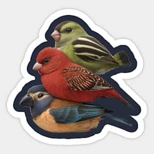 3 cute colored birds Sticker